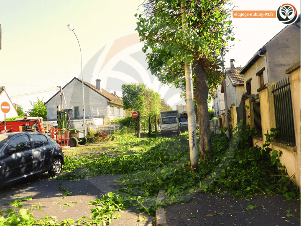 Élagage de plusieurs arbres dans une rue résidentielle à Aulnay-sous-Bois.